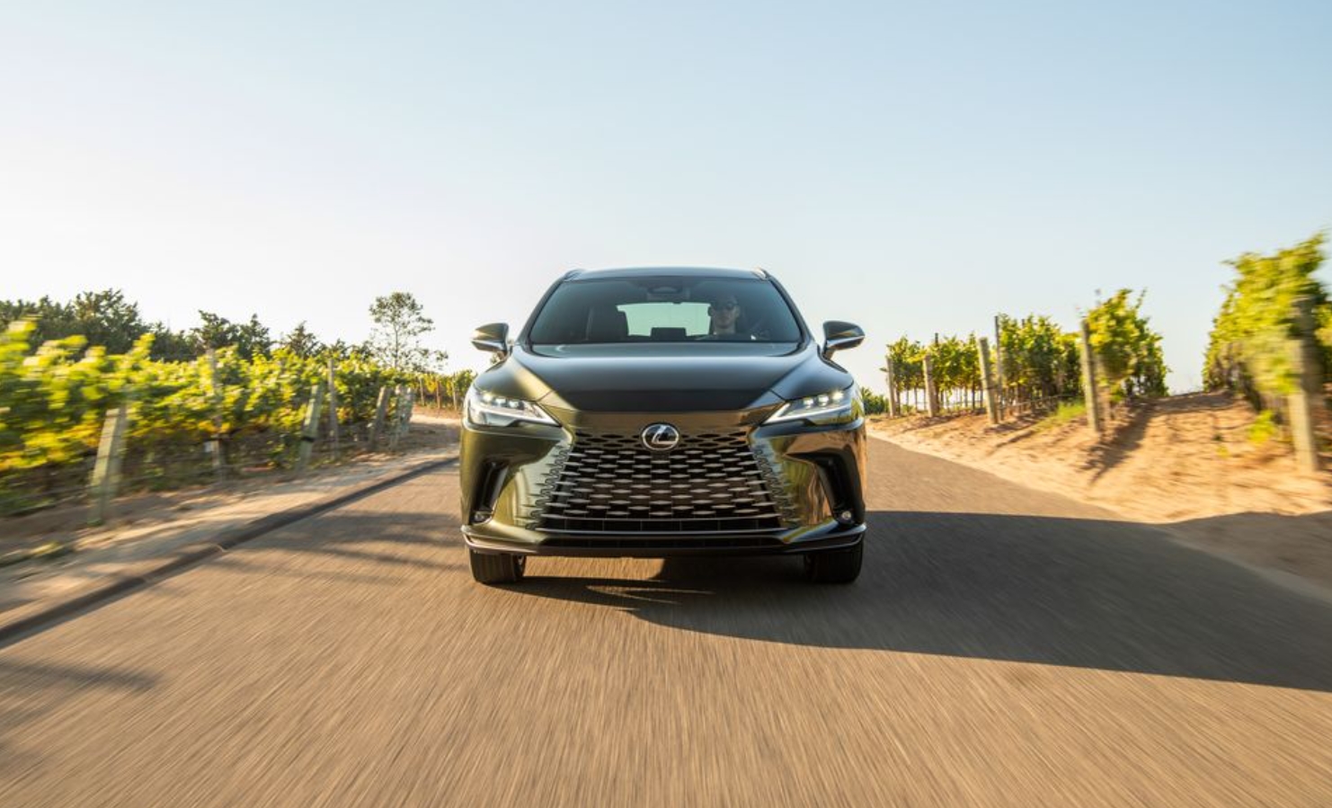  2026 Lexus RX Specs, Interior, Release Date, Price - Inside The Hood Bildidee 