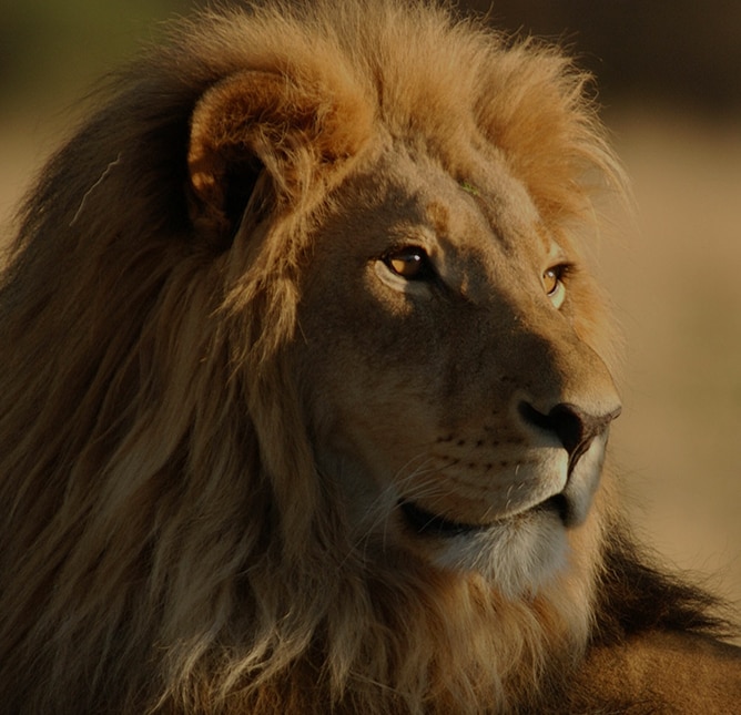  Regent Seven Seas Cruises 