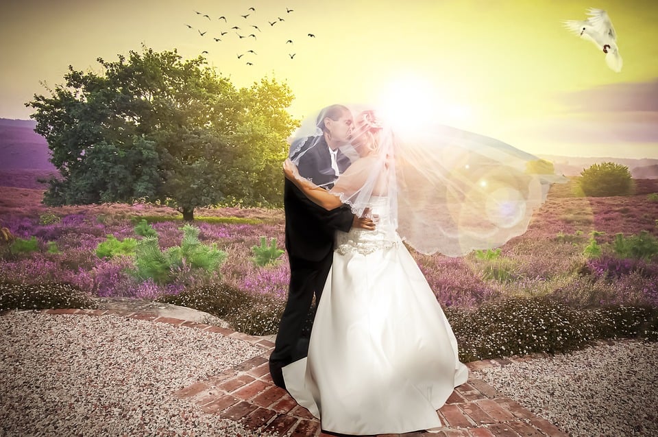 Free illustration: Wedding, Wedding Reception, Wed - Free Image on Motiv 