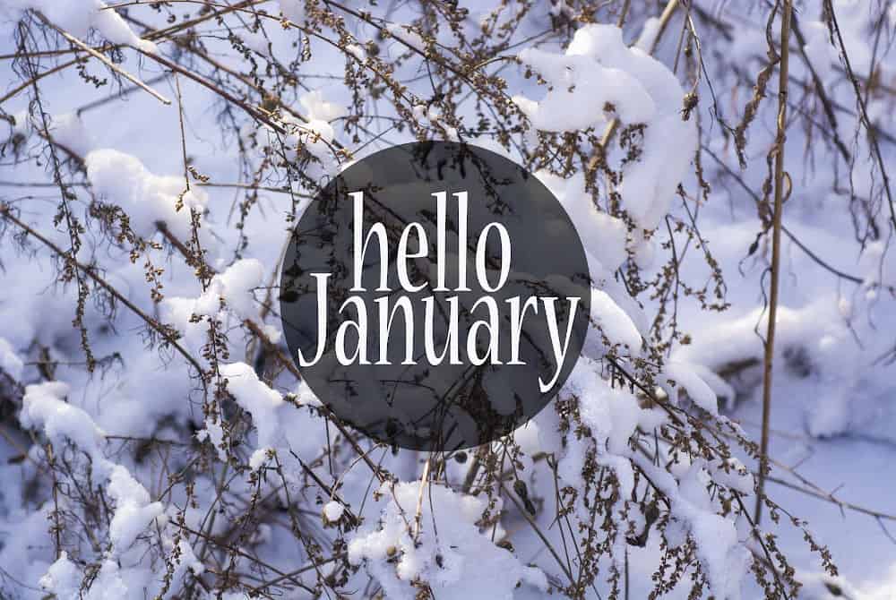  Foto zu January Fun Facts - Made with HAPPY 